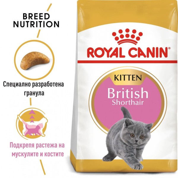 Royal Canin British Shorthair Kitten - Суха храна за подрастващи британски късокосмести котенца до 12 месеца